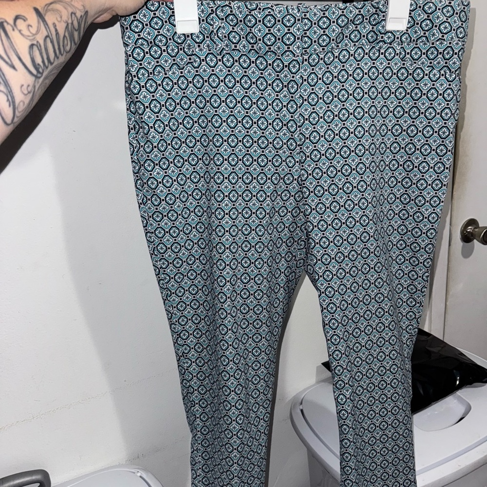 The Limited Patterned Pants